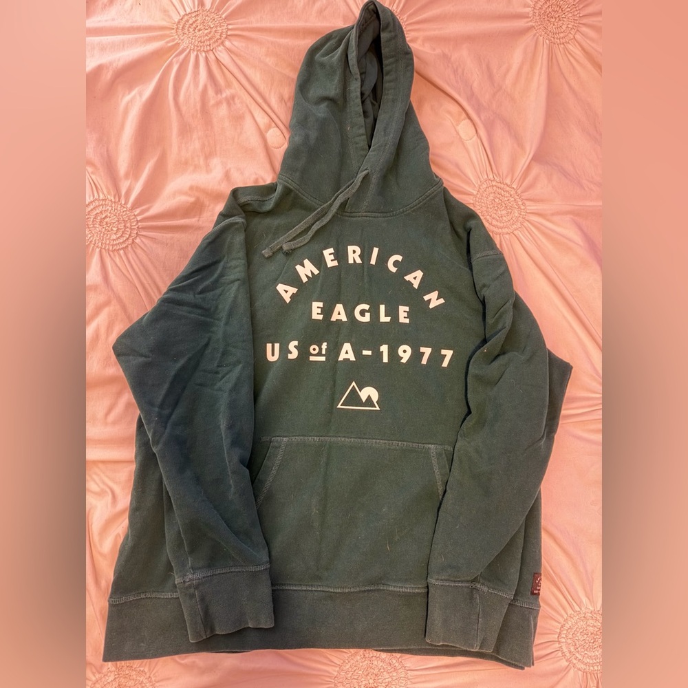 American Eagle Outfitters Forest Green Hoodie